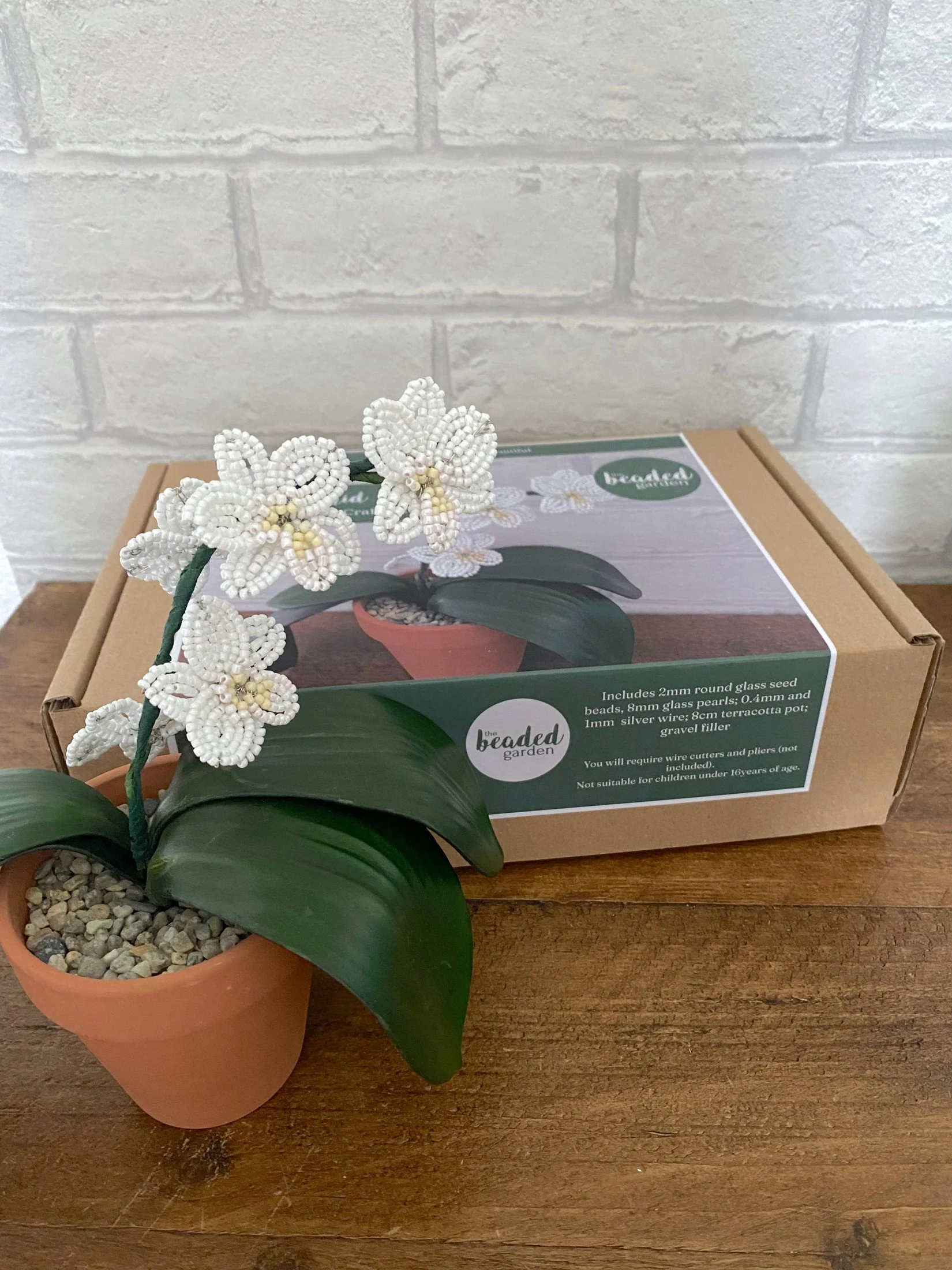 Kit de bricolage pour plantes d'orchidées pour adultes. Cadeau créatif – Image 2