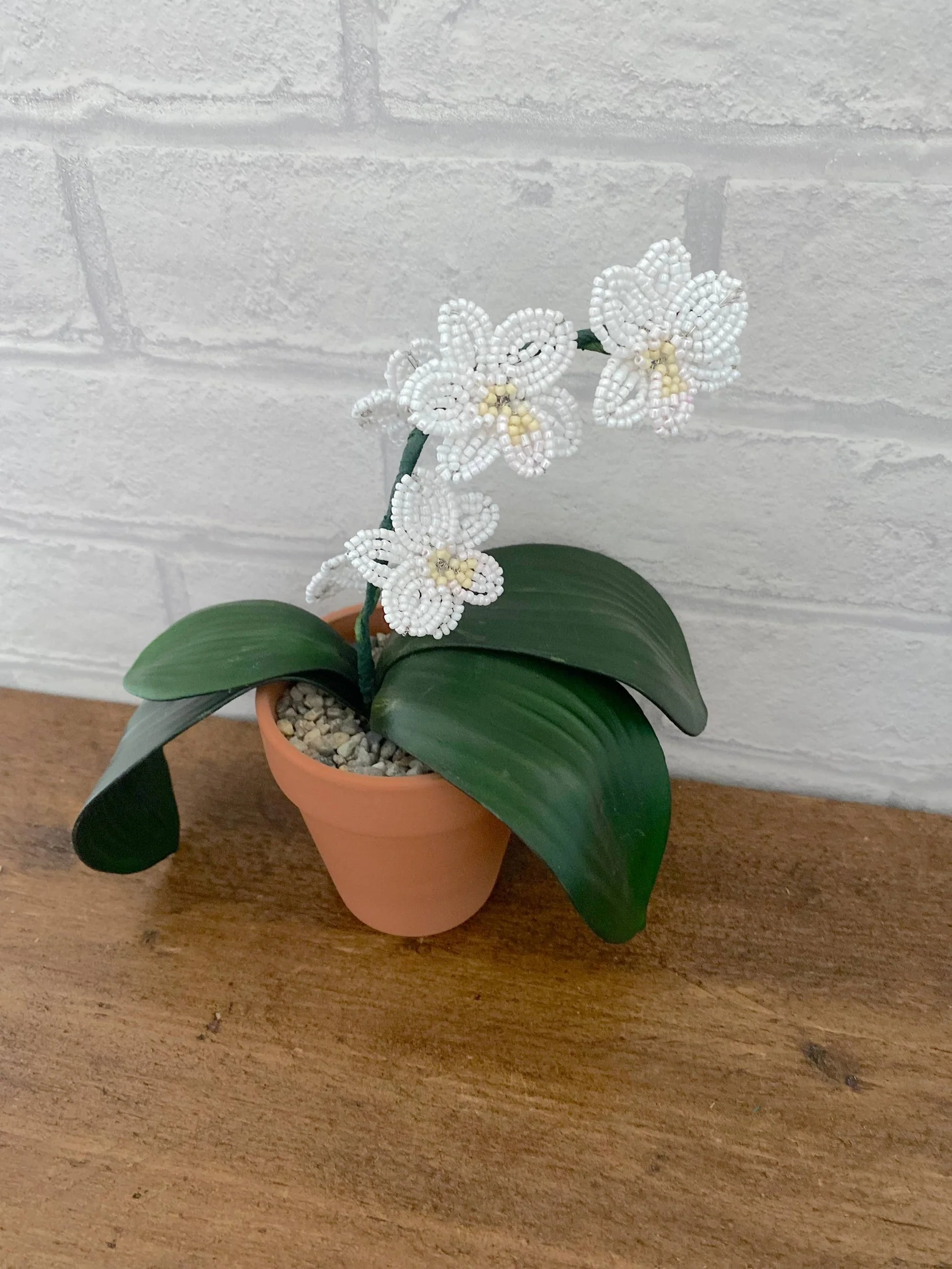 Kit de bricolage pour plantes d'orchidées pour adultes. Cadeau créatif – Image 4