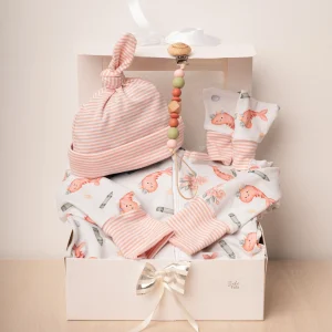 Panier- cadeau ensemble essentiels pour les sorties de bébé