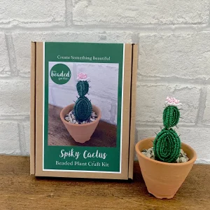 Kit de bricolage perlé - Plante cactus épineuse. Une idée cadeau créative.