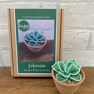 Kit de bricolage perlé - Succulente Echeveria. Une idée cadeau créative
